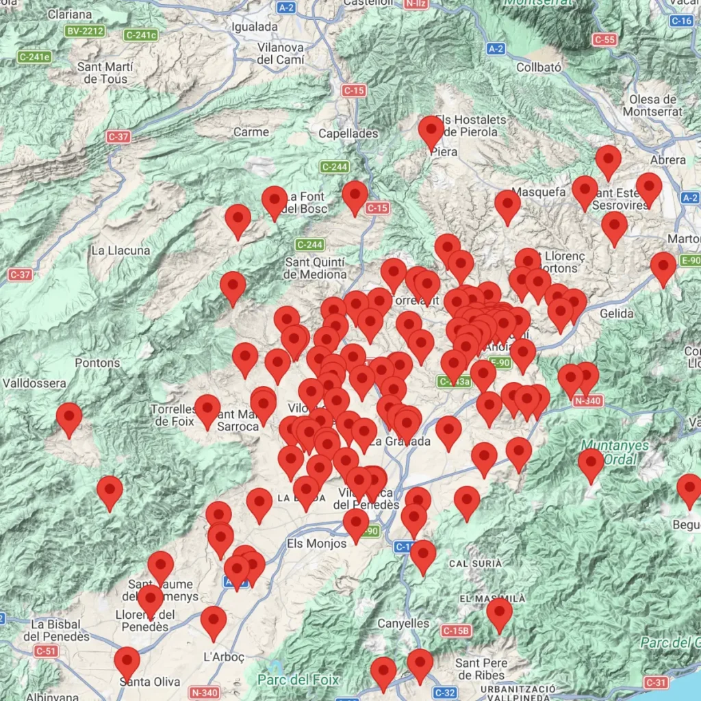 Enoturismo Penedés. Comunicación digital para asociaciones territoriales en Cataluña - Molt Bé